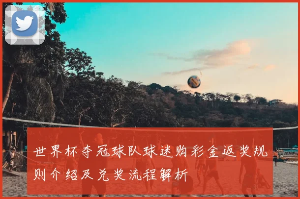 世界杯夺冠球队球迷购彩金返奖规则介绍及兑奖流程解析