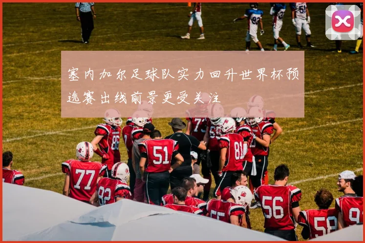 塞内加尔足球队实力回升世界杯预选赛出线前景更受关注